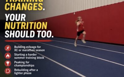 What Changes When the Training Cycle Changes